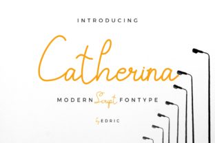 How Catherina Font Transformed My Brand’s Visual Identity