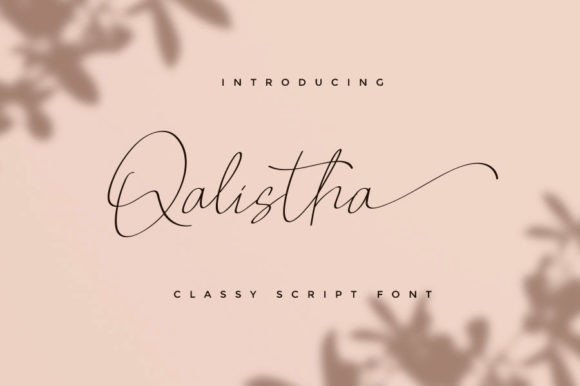 Qalistha: The Script Font That Elevates Your Digital Brand
