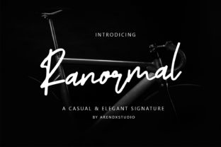 Ranormal Font for Web Design and Brand Identity