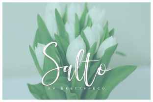 Salto: A Dynamic Script Font for Authentic Branding