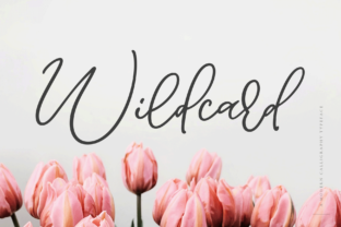 Wildcard: A Script Font for Bold Branding and Creative Projects